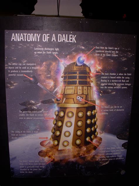 Dalek Anatomy 101 Suzjeffs Flickr