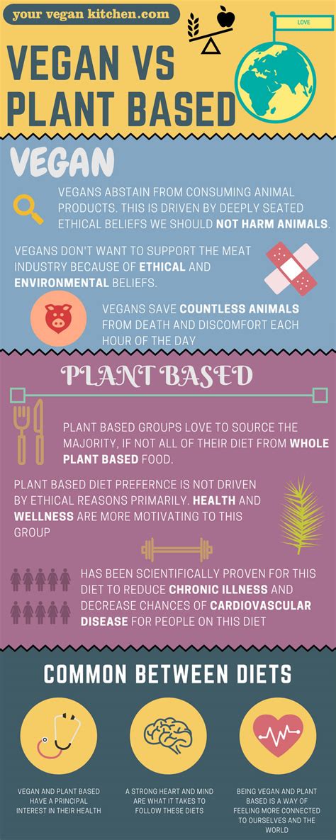 Vegan Vs Plant Based Difference And Comparison Your Vegan Kitchen