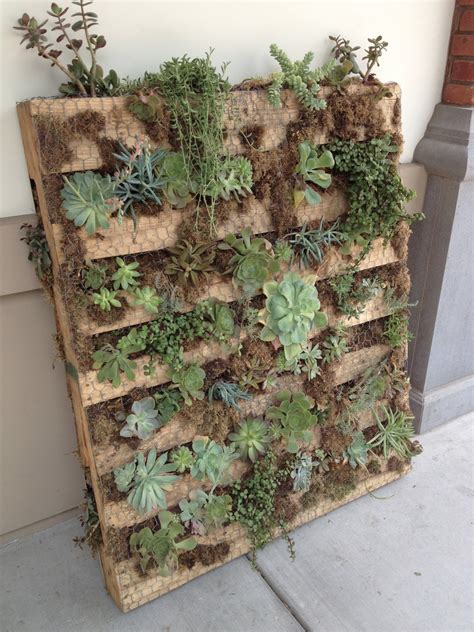 How to build succulent garden. Within My Means: Pallet Succulent Garden