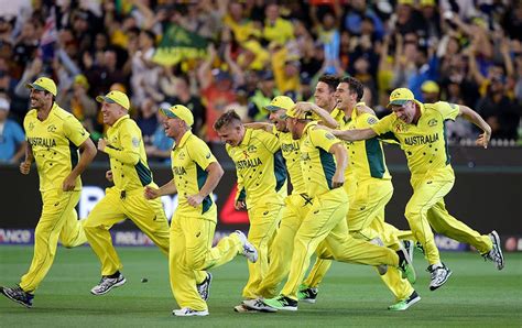 Icc Cricket World Cup Final Australia Vs New Zealand News