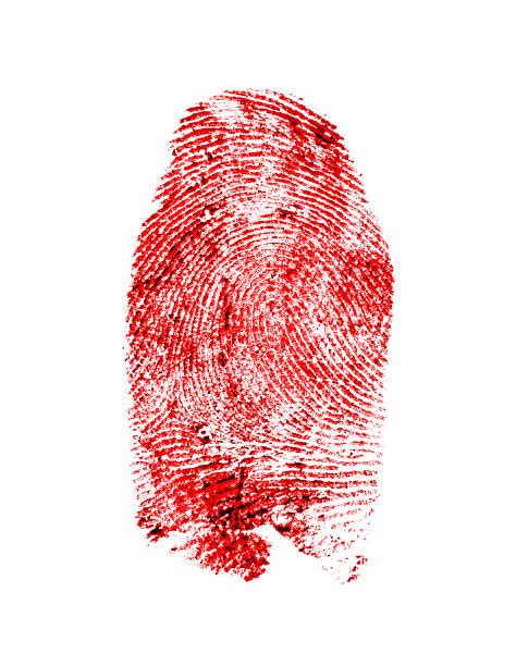 Blood Fingerprint Stock Photos Pictures And Royalty Free Images Istock