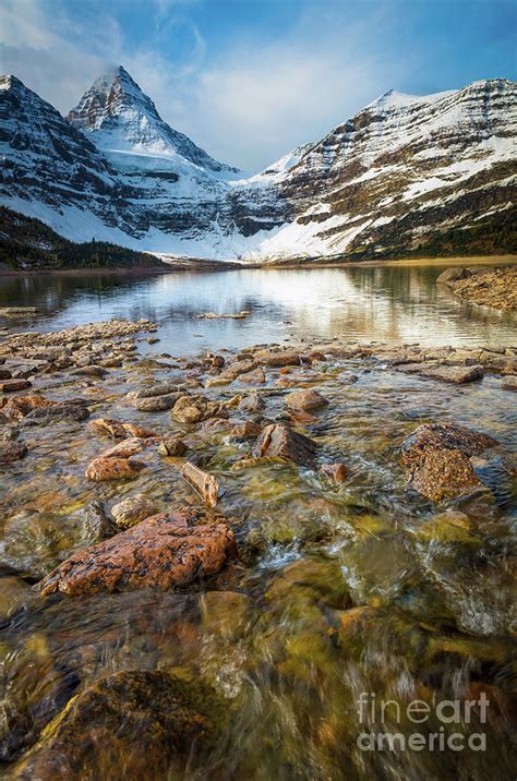 Creek And Mt Assiniboine Photograph By Inge Johnsson Fine Art America
