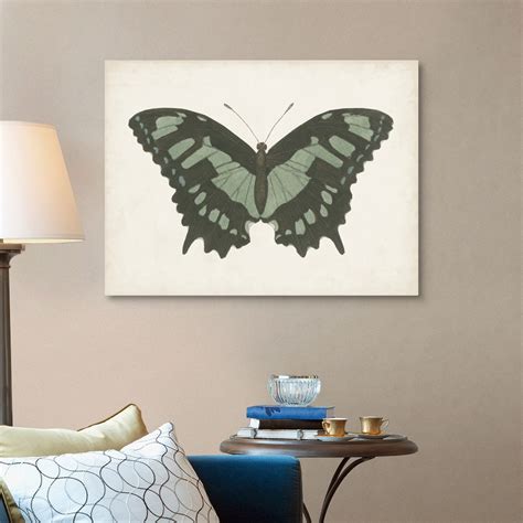 Beautiful Butterfly Ii Wall Art Canvas Prints Framed Prints Wall