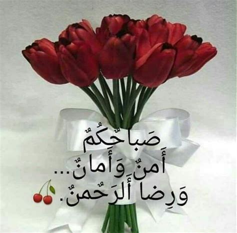 Pin By Chamsdine Chams On صباح مساء الخير Good Morning Images