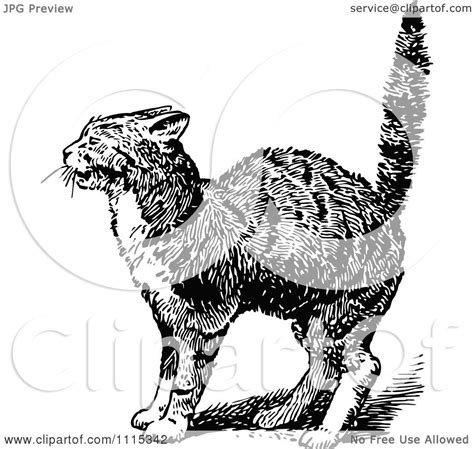 Clipart Vintage Black And White Scared Cat Royalty Free