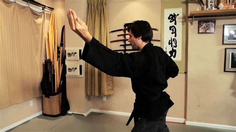 What Is The Difference Between Ninjutsu And Aikido Howcast