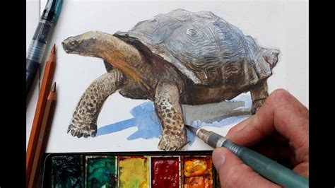 Watercolor Colored Pencils Fast Realistic Textures Youtube