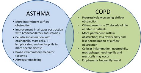 Asthma And Copd Overlapping Disorders Or Distinct Processes Intechopen