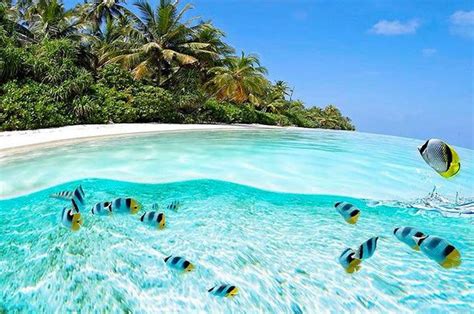Top 20 Clearest Swimming Spots In The World Destination Luxury