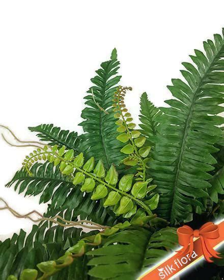 Local florist delivery · 24/7 customer service Boston Fern S2672 - S2672 - Silkflora - Artificial Flowers
