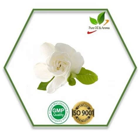 Gardenia Oil For Fragrance Natural At Rs 4650kilogram In Delhi Id