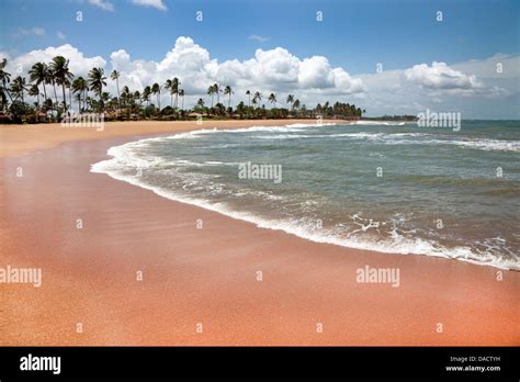 Village Waikkal Sri Lanka Hi Res Stock Photography And Images Alamy