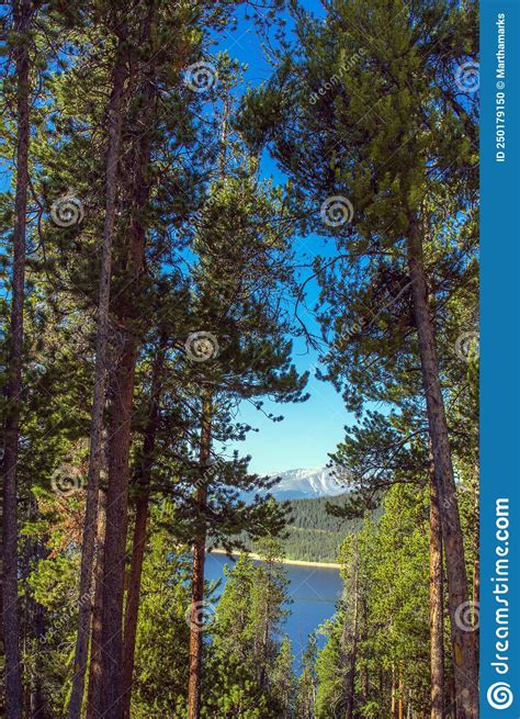 Turquoise Lake In The Colorado Rockies Stock Photo Image Of Mountains
