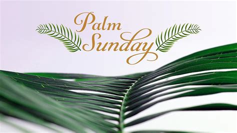 Palm Sunday In This Time Of Covid 19 — Matthew 211 11