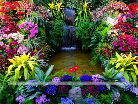 Download 22 Beautiful Garden Background Image