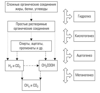 Анаэробные процессы - Химия воды и микробиология