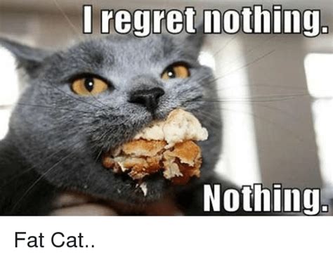 Regret Nothing Nothing Fat Cat Cats Meme On Meme