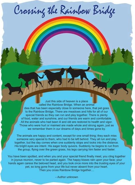 Pin By Karen Chandler On Quotes Rainbow Bridge Dog Poem Rainbow