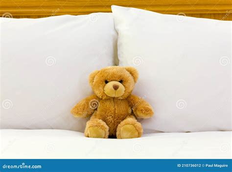 Teddy Bear On Bed Bedroom Interior Design Stock Photo Image Of