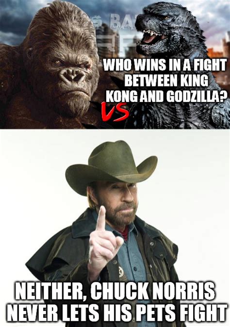 28 Funny Godzilla Vs Kong Memes To Body Slam Depression Funny