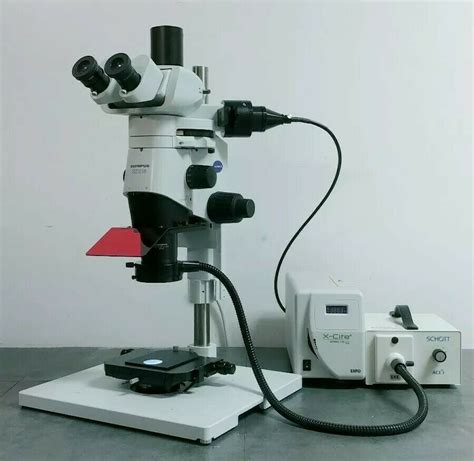 Olympus Microscope SZX16 Stereo With Fluorescence NC SC VA MD