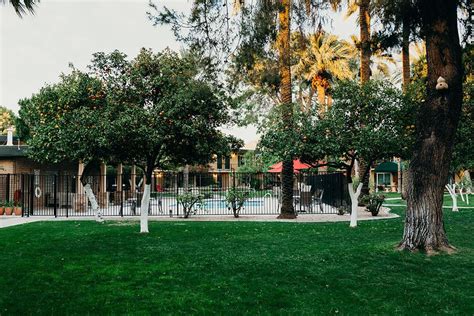 Oasis in the City - Photo Gallery