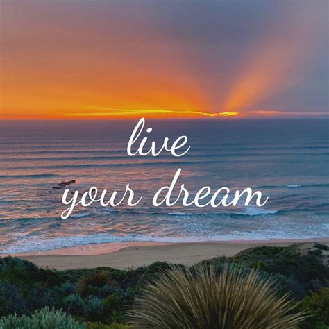 Live Your Dream Align Your Vision Clear Your Roadblocks And Make It