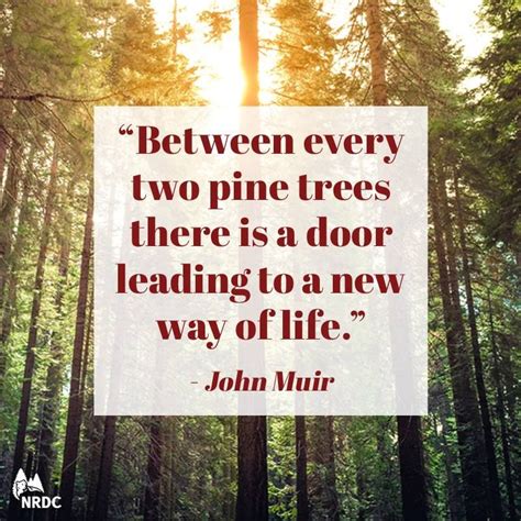 I Love This Quote By The Great Environmentalist John Muir His Wise