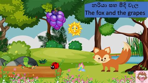 නරියා සහ මිදි වැල 🦊the Fox And The Grapes 🍇 Sinhalacartoon