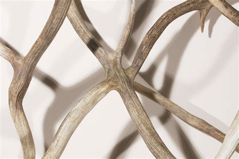 Large Antler Panel By Western Hands