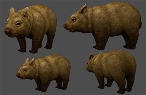 3d Model Wombat Vr Ar Low Poly Rigged Animated Cgtrader