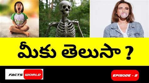 top 10 interesting facts in telugu facts world youtube