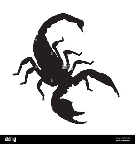 Vector Illustration Of Scorpion Silhouette Stock Vector Image Art Alamy