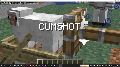 Minecraft Sheep Rule