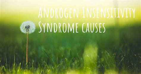 Which Are The Causes Of Androgen Insensitivity Syndrome