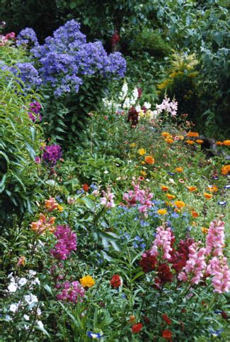 Cottage gardens should have the look of the natural english countryside with wild flowers and clumps of native flowers growing here and there, just reaching into the path. Aultaghreagh Cottage Garden | Dunmanway Review Georgina ...