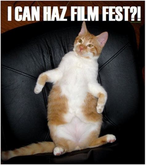 Vegetarian Starinternet Cat Film Festival A Huge Success Video