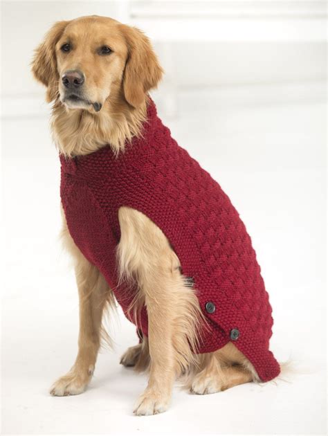 New Sweaters For Big Dogs Make Our Clifford Dog Sweater