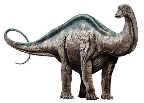 Art Illustration Dinosaurs Apatosaurus Is A Genus Of Sauropod