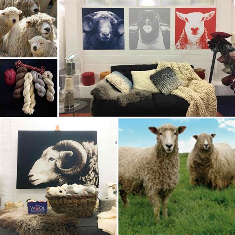 10 Amazing Facts You May Not Know About British Wool