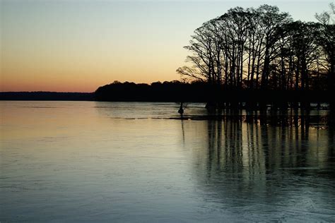 Reelfoot Lake In Tennessee 5 Free Photo Download Freeimages