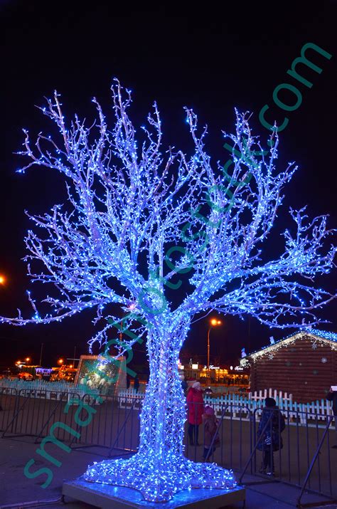 The familiar tradition of trimming the christmas tree can either be tedious or fun depending on your preference, and it's. christmas lights on a tree - Smart Photo Stock