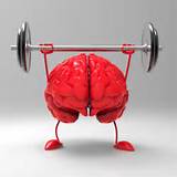 Brain Fitness Exercises