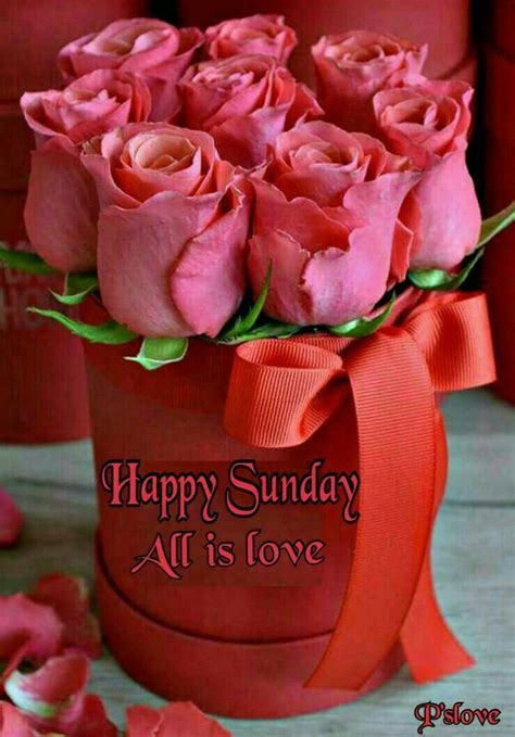 Sunday Wishes With Roses Wisdom Good Morning Quotes