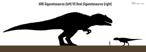Size Comparison Between Ark Giganotosaurus 45 M And Giganotosaurus In