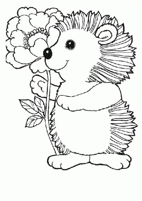Cute Animal Coloring Pages For Adults Coloring Pages