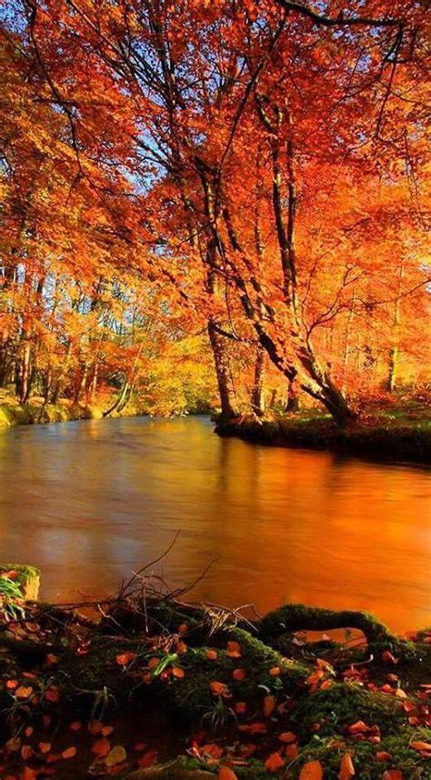 Gorgeous ♥ Autumn Scenery Scenery Autumn Scenes