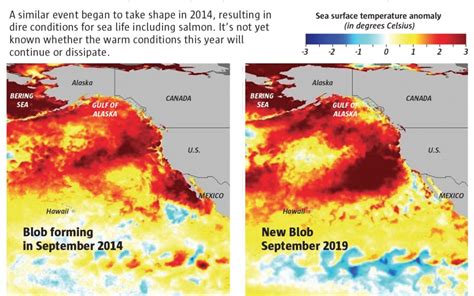 New Marine Heat Wave Resembles Killer ‘blob That