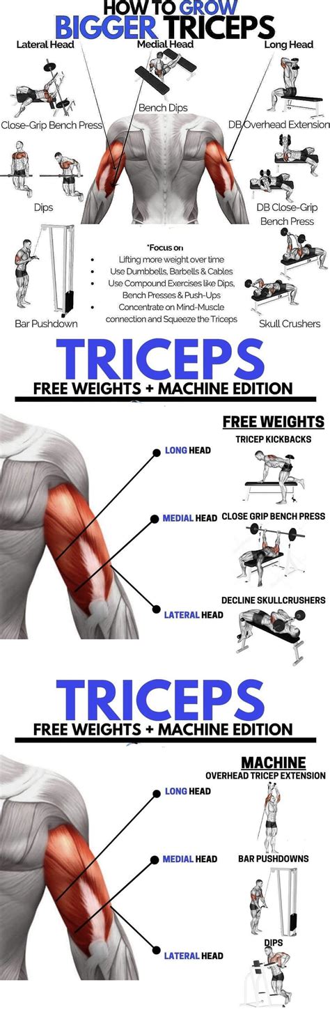 How To Grow Bigger Triceps Rhowto