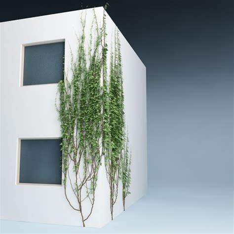 3d Ivy On The Wall 02 Cgtrader